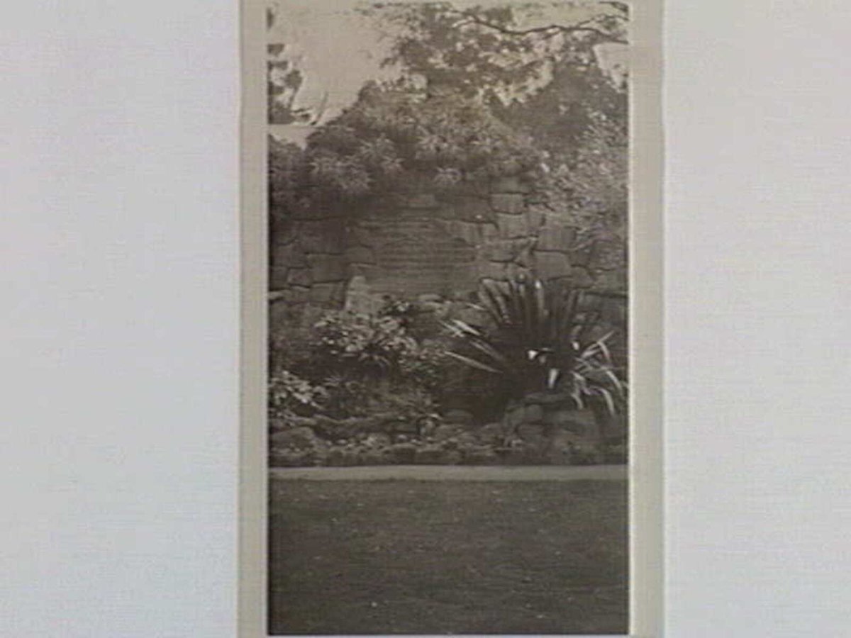 The Bluff, Royal Botanic Gardens, Melbourne, Melbourne City (1933)