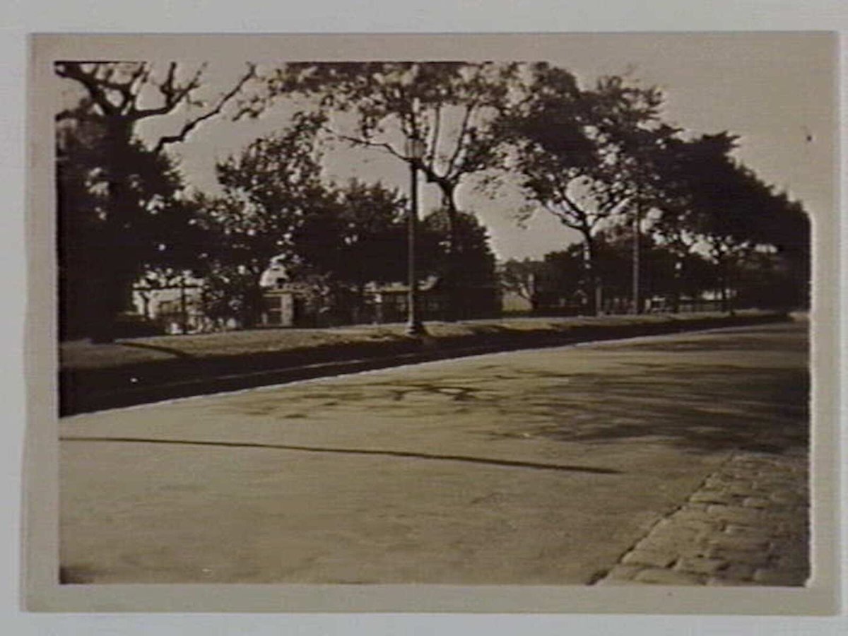 View along St. Kilda Road, Melbourne City (1929)