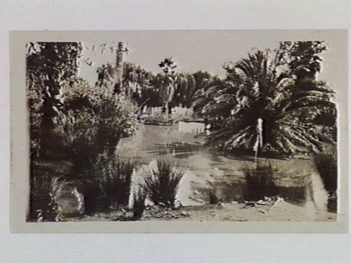 Lake at the Royal Zoological Gardens, Melbourne, Parkville (1932)