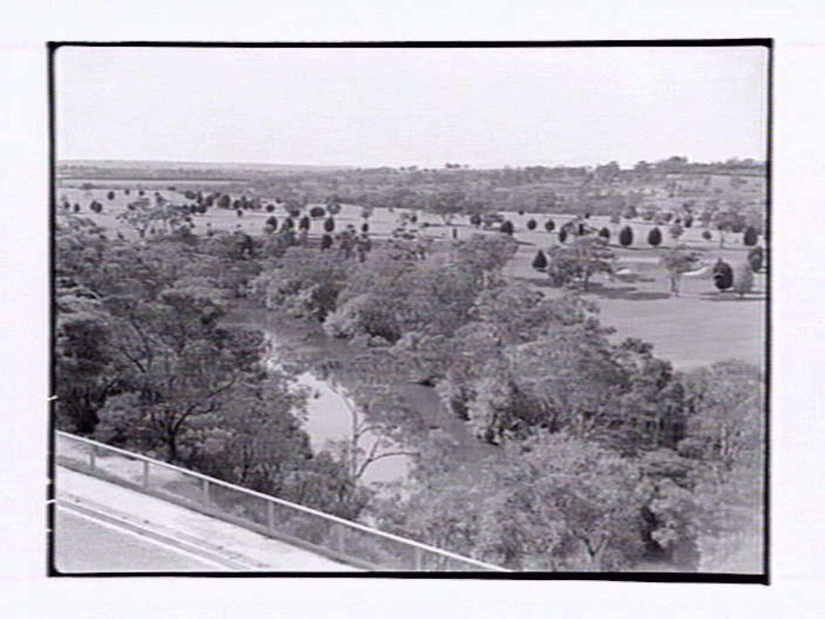 Yarra Boulevard, Kew (1947)
