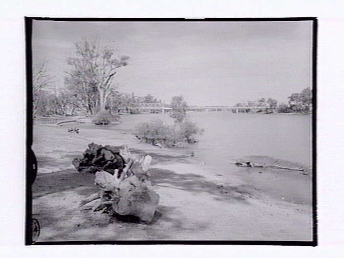 Abbotsford Bridge, Curlwaa (1954)