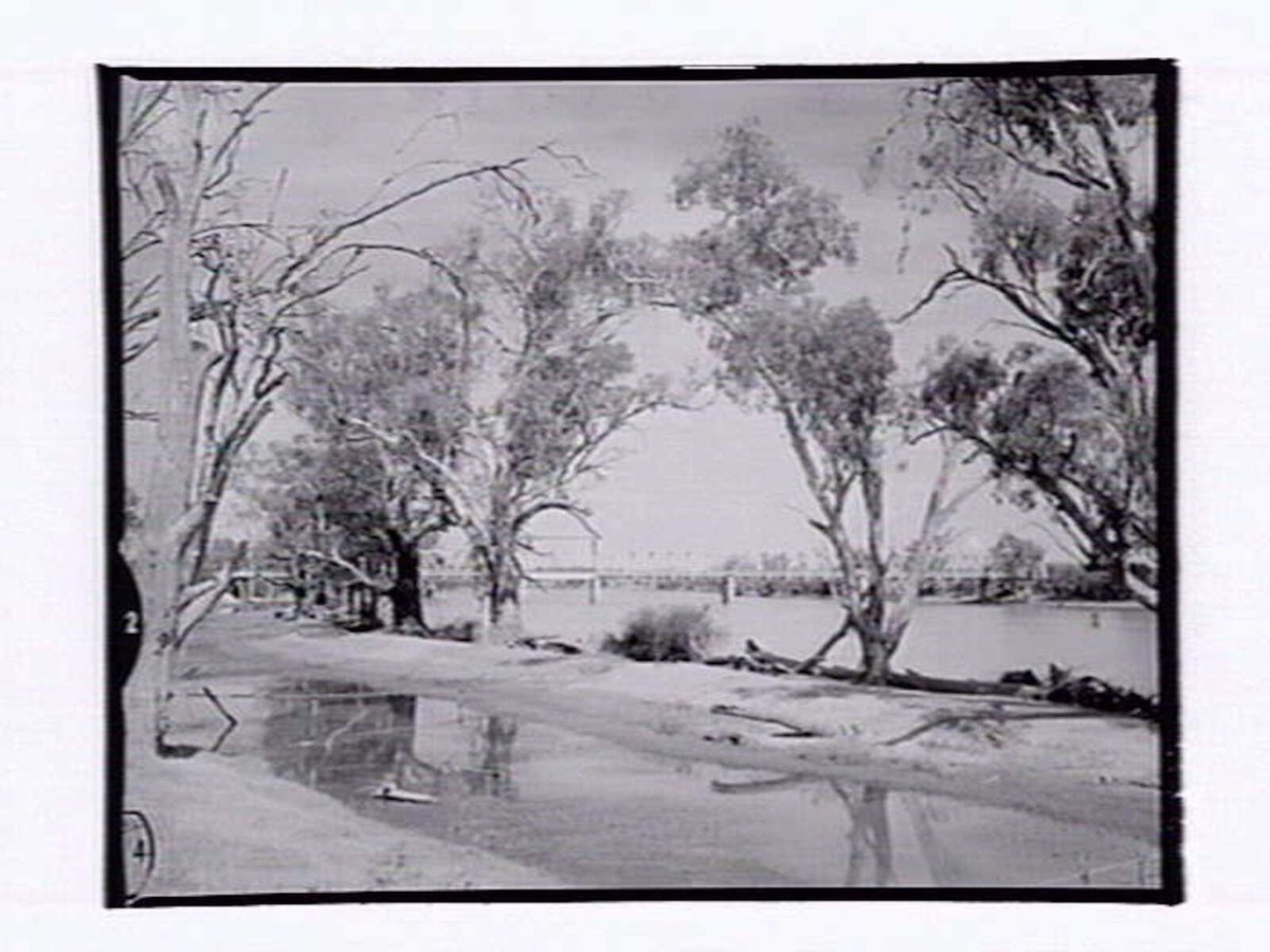Abbotsford Bridge, Curlwaa (1954)