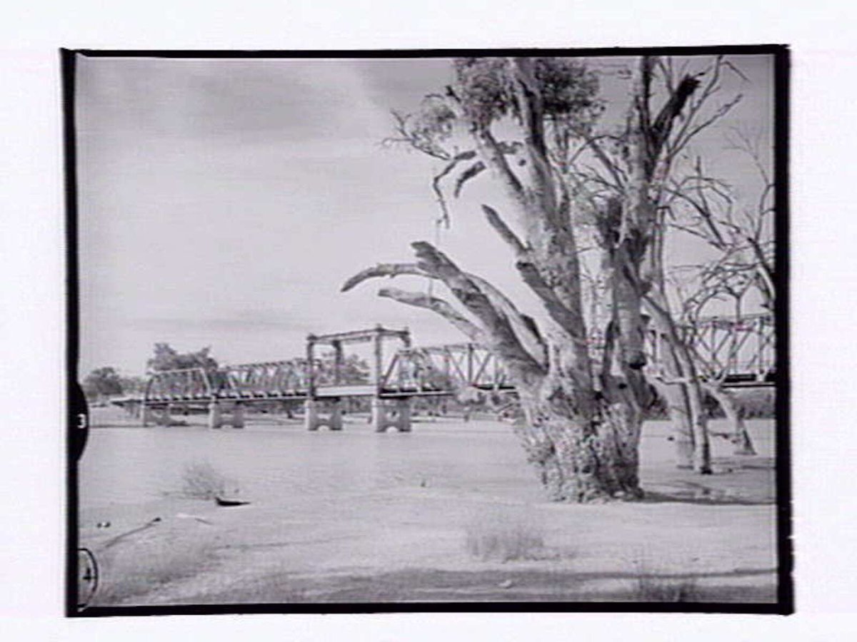 Abbotsford Bridge, Curlwaa (1954)