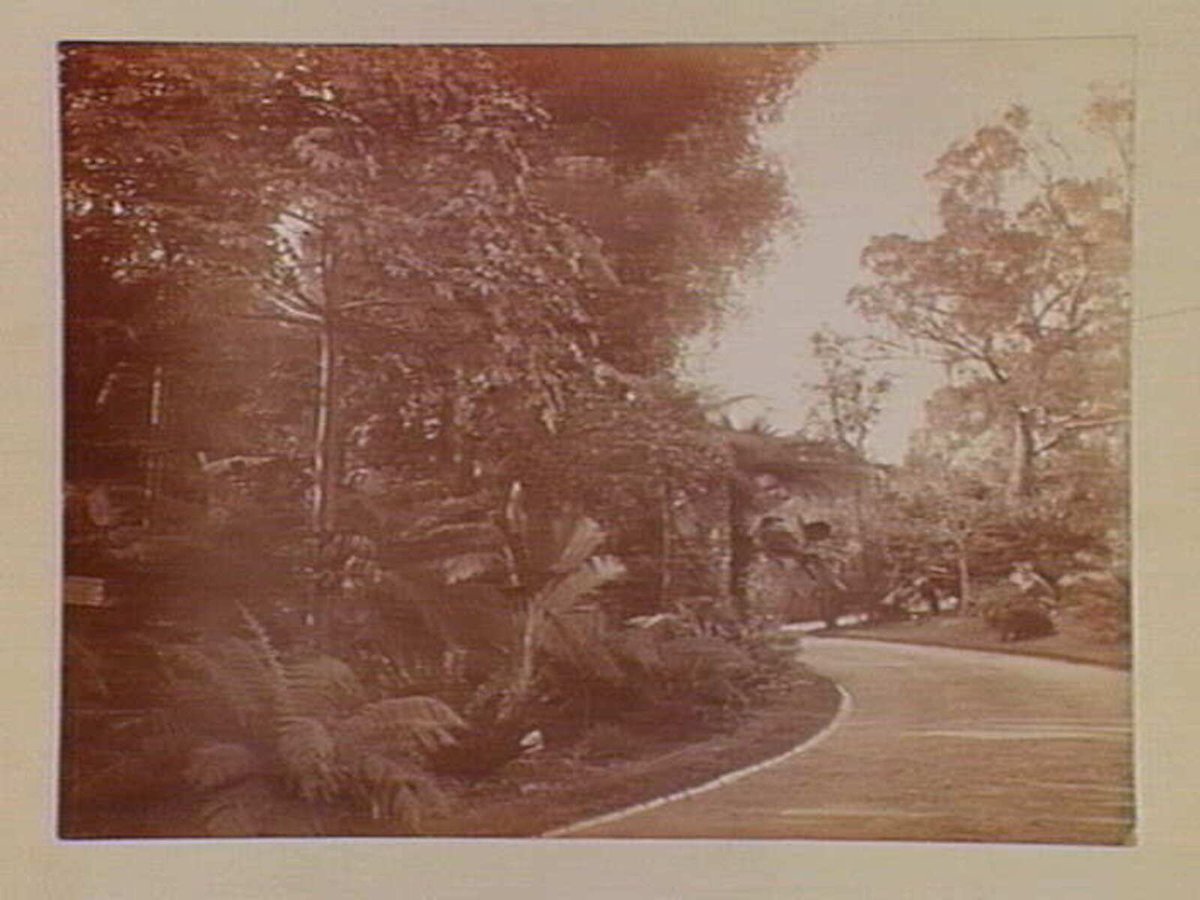 View along pathway, Botanical Gardens, Melbourne, Melbourne City (1890)