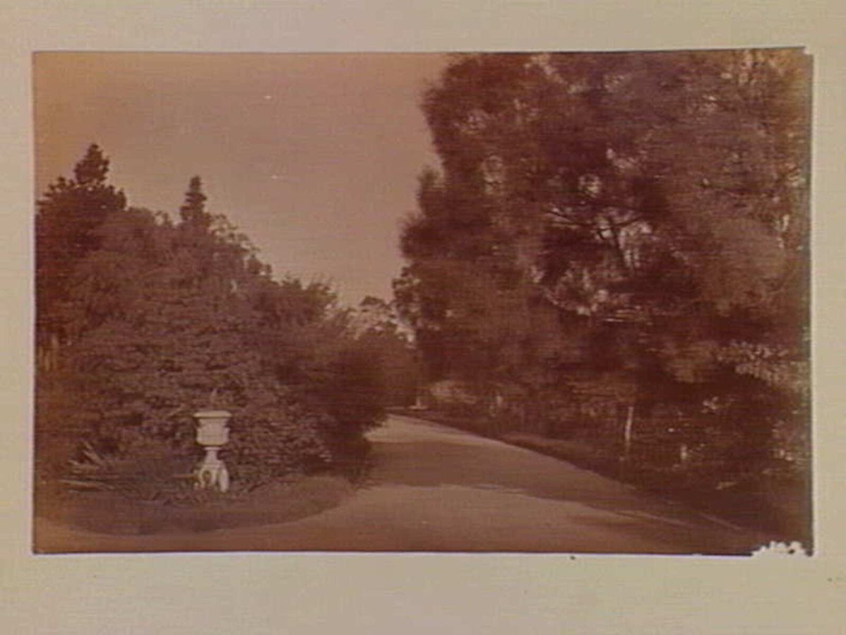 View along pathway, Botanical Gardens, Melbourne, Melbourne City (c. 1890)