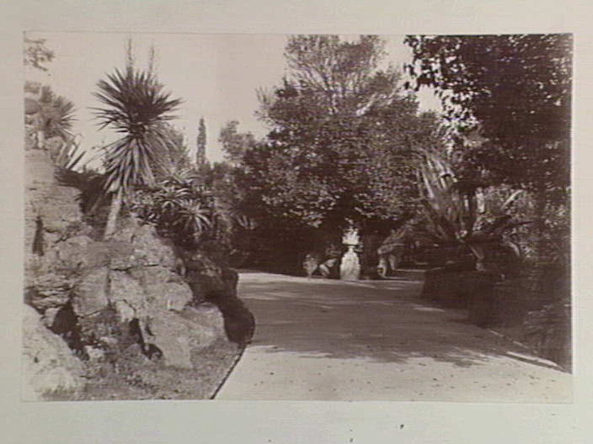 View along pathway, Botanical Gardens, Melbourne, Melbourne City (1890)