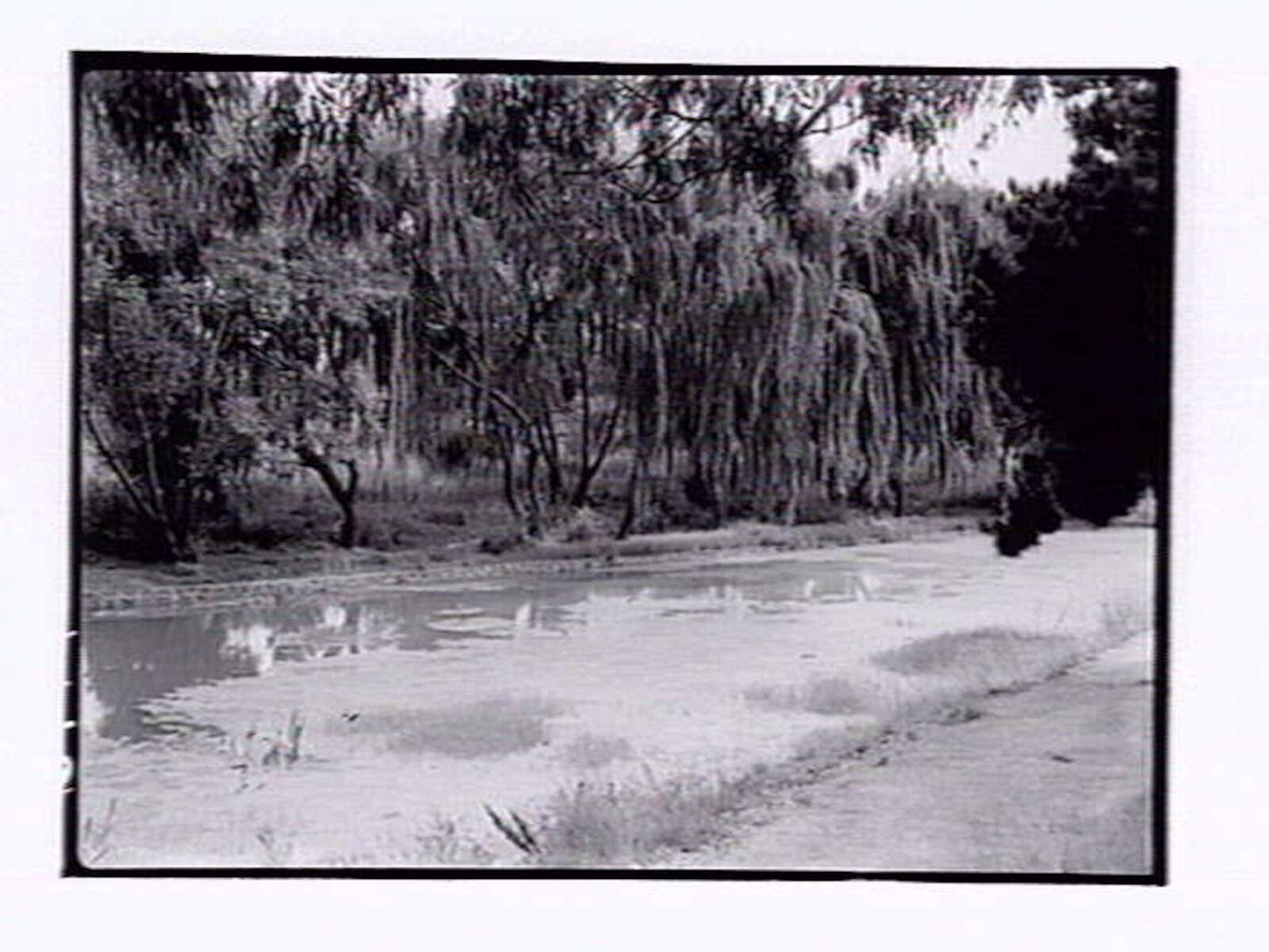 Edwards Lake, Reservoir (1947)