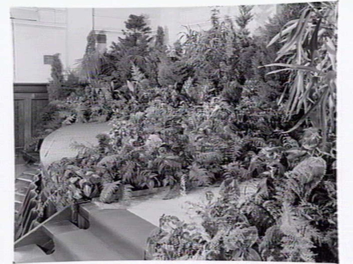 South Melbourne Town Hall, stage area decorated with plants and bark roofed hut, Melbourne City (1950?)