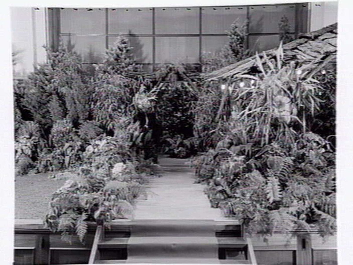South Melbourne Town Hall, stage area decorated with plants and bark roofed hut, Melbourne City (c. 1950)