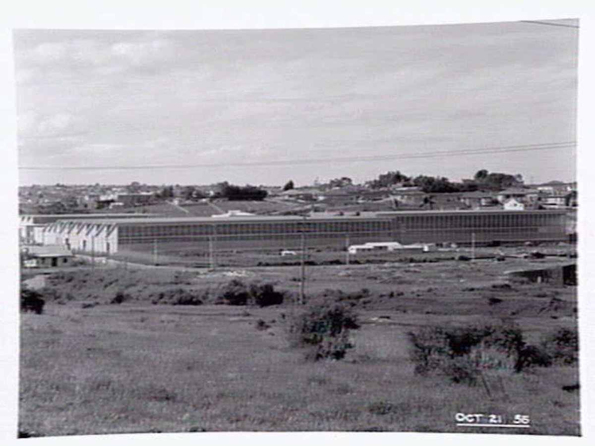Construction photographs of a factory in Murrumbeena (1954–55)