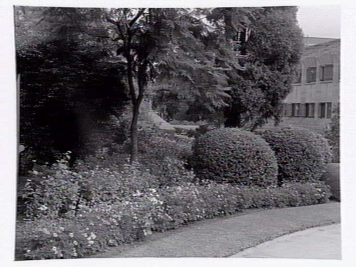 Gardens around Newman Chapel, Melbourne University, Parkville (c. 1945)