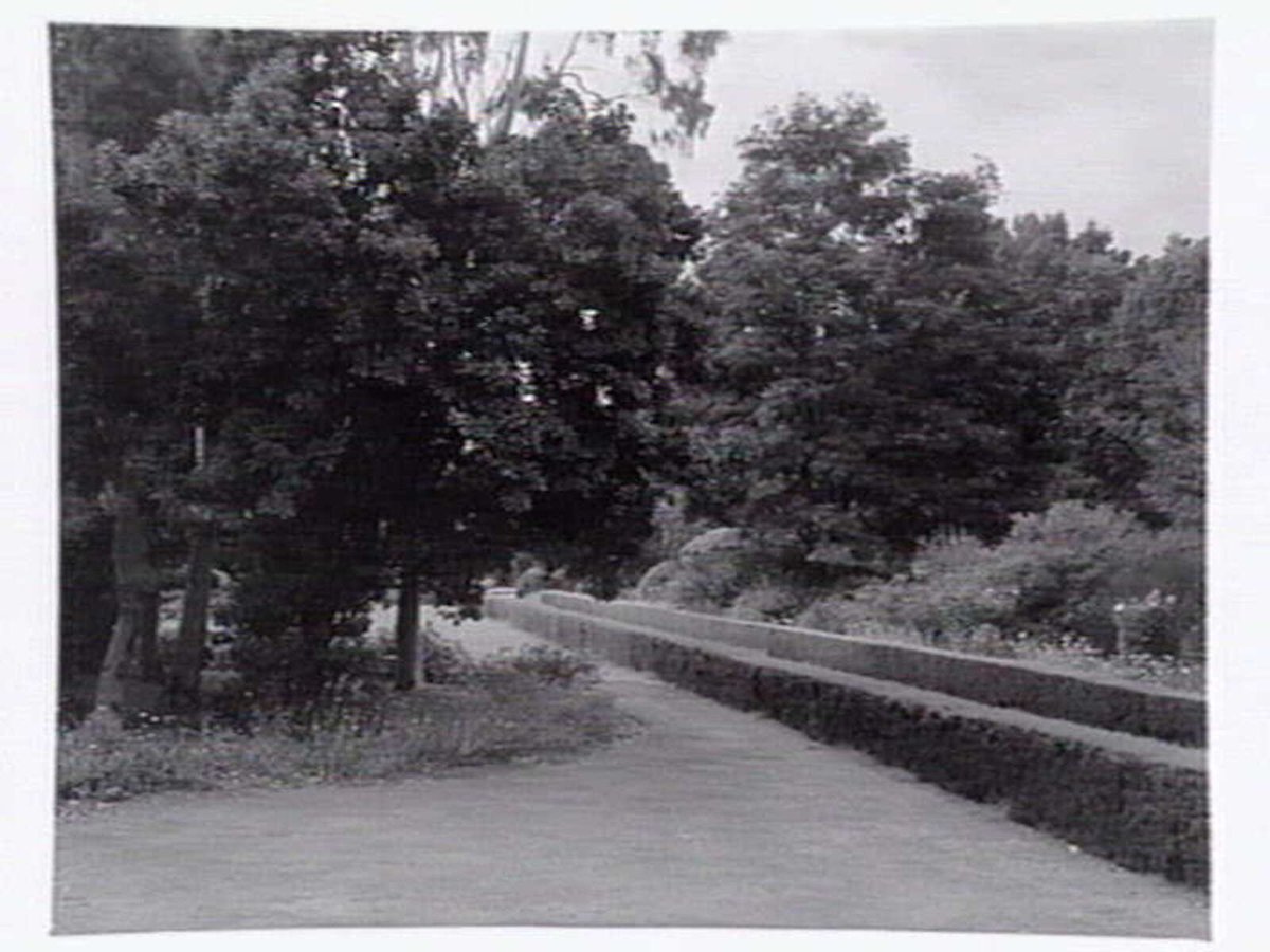 Gardens around Newman Chapel, Melbourne University, Parkville (c. 1945)