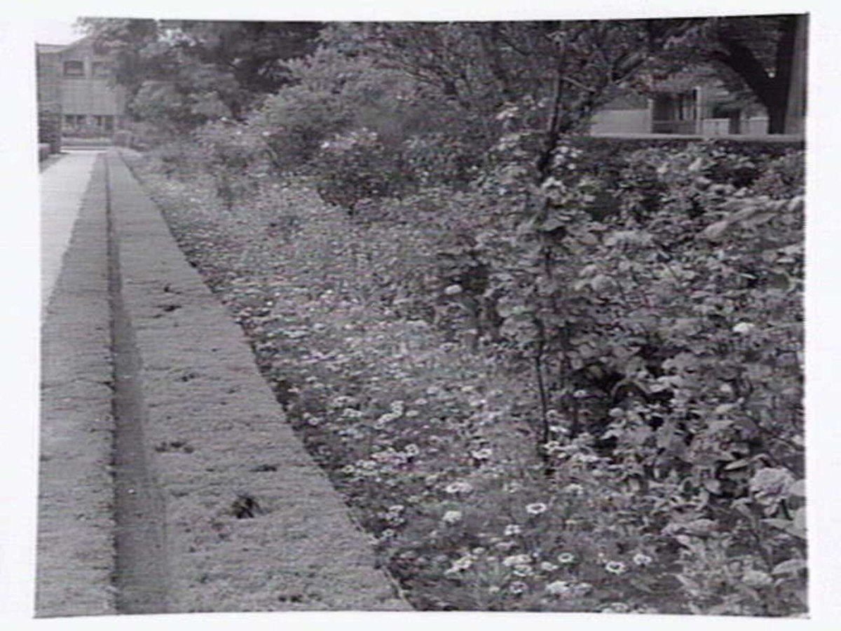 Gardens around Newman Chapel, Melbourne University, Parkville (1945?)