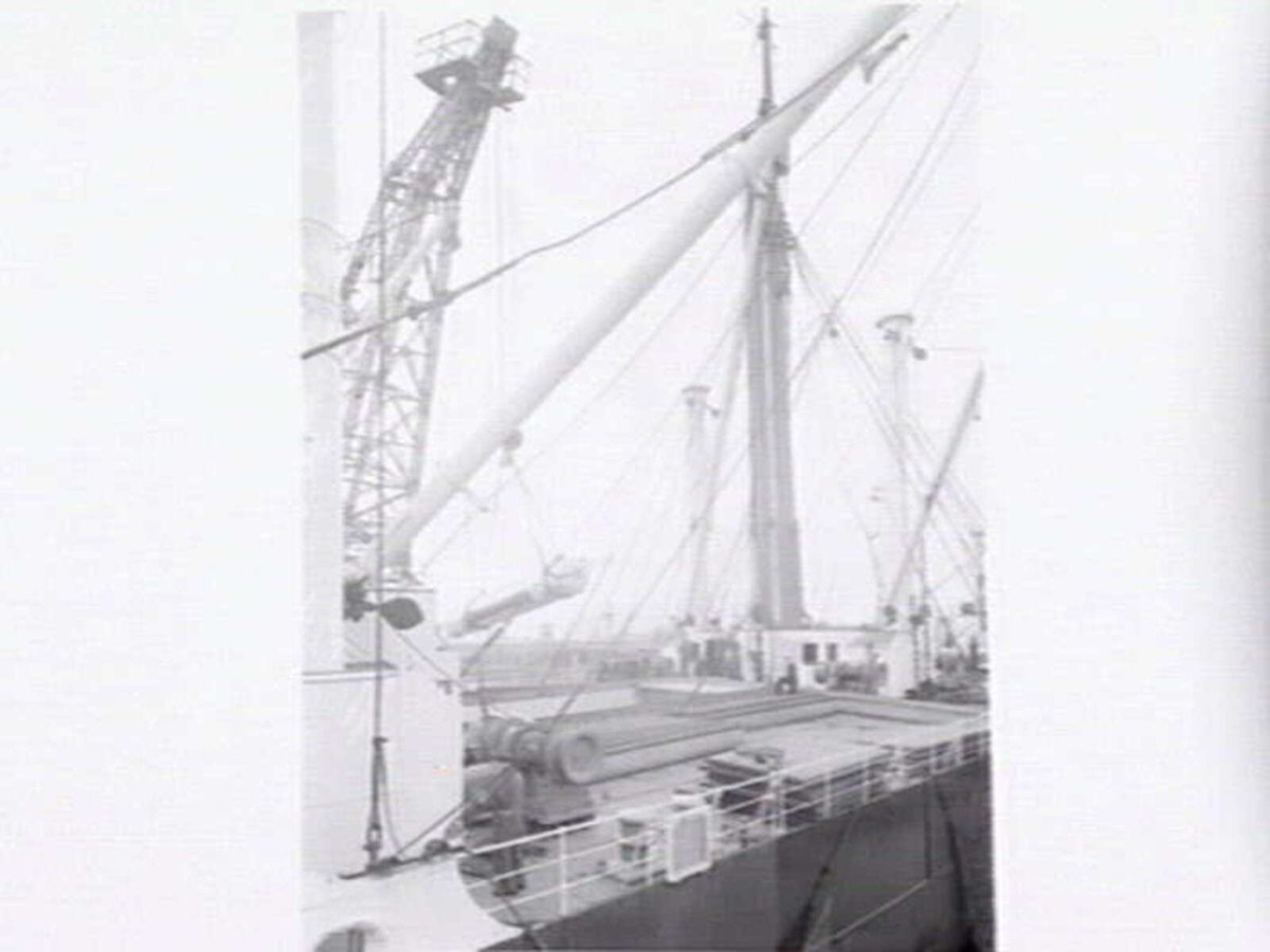 Melbourne Harbour Trust 40 ton floating crane lifting a boiler onto or from a low loader at wharf (1949)