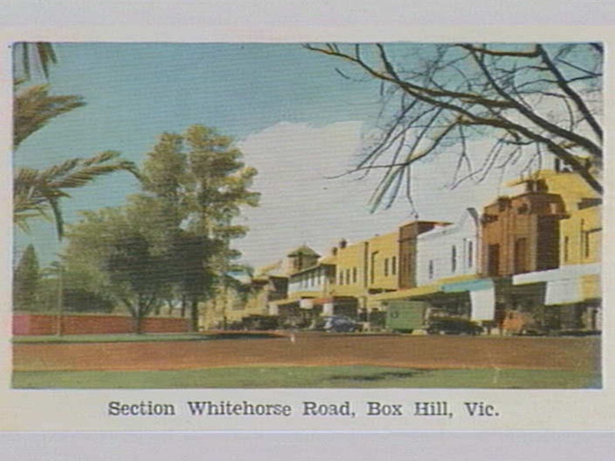Camera Views BOX HILL, VIC (c. 1950)