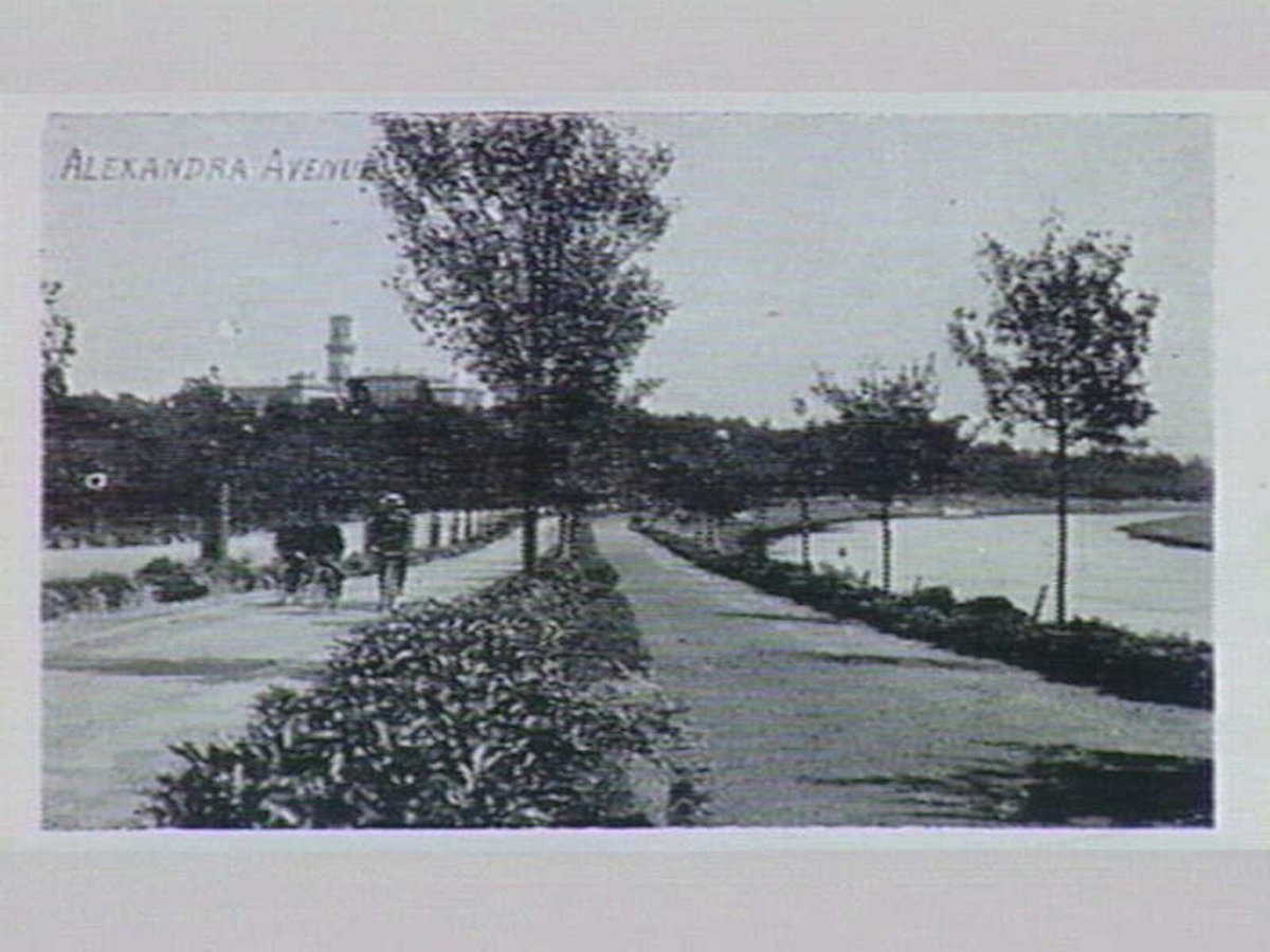 Nothing from You Yet at Melbourne (1909)