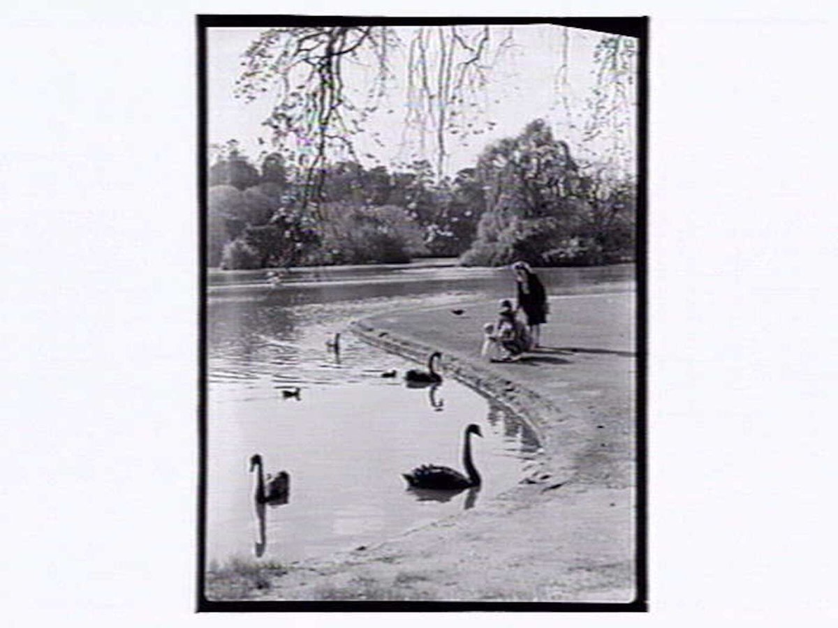 Botanic Gardens Melbourne, Melbourne City (1946)