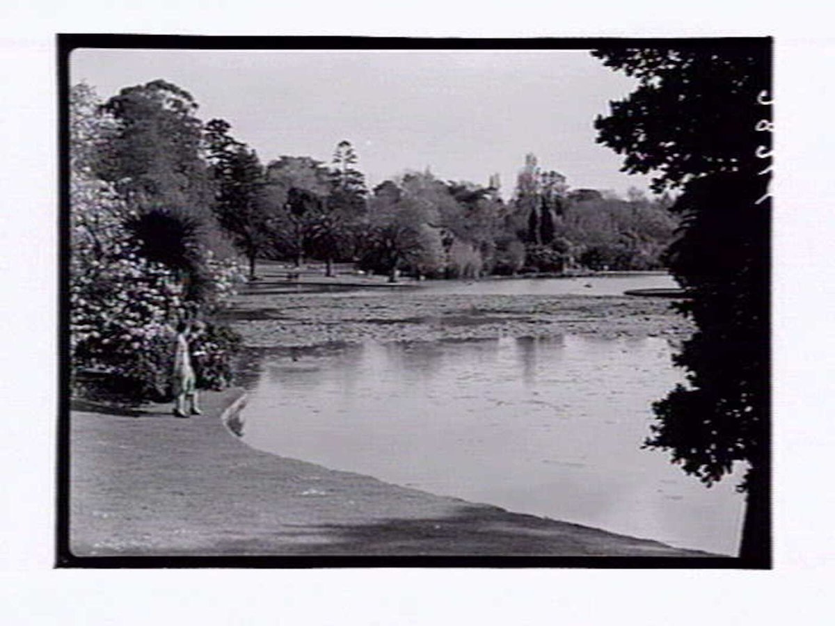 Botanic Gardens Melbourne, Melbourne City (1946)