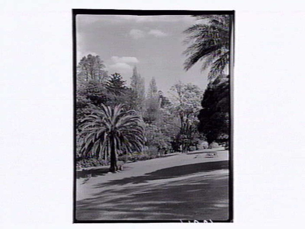 Botanic Gardens Melbourne, Melbourne City (1946)