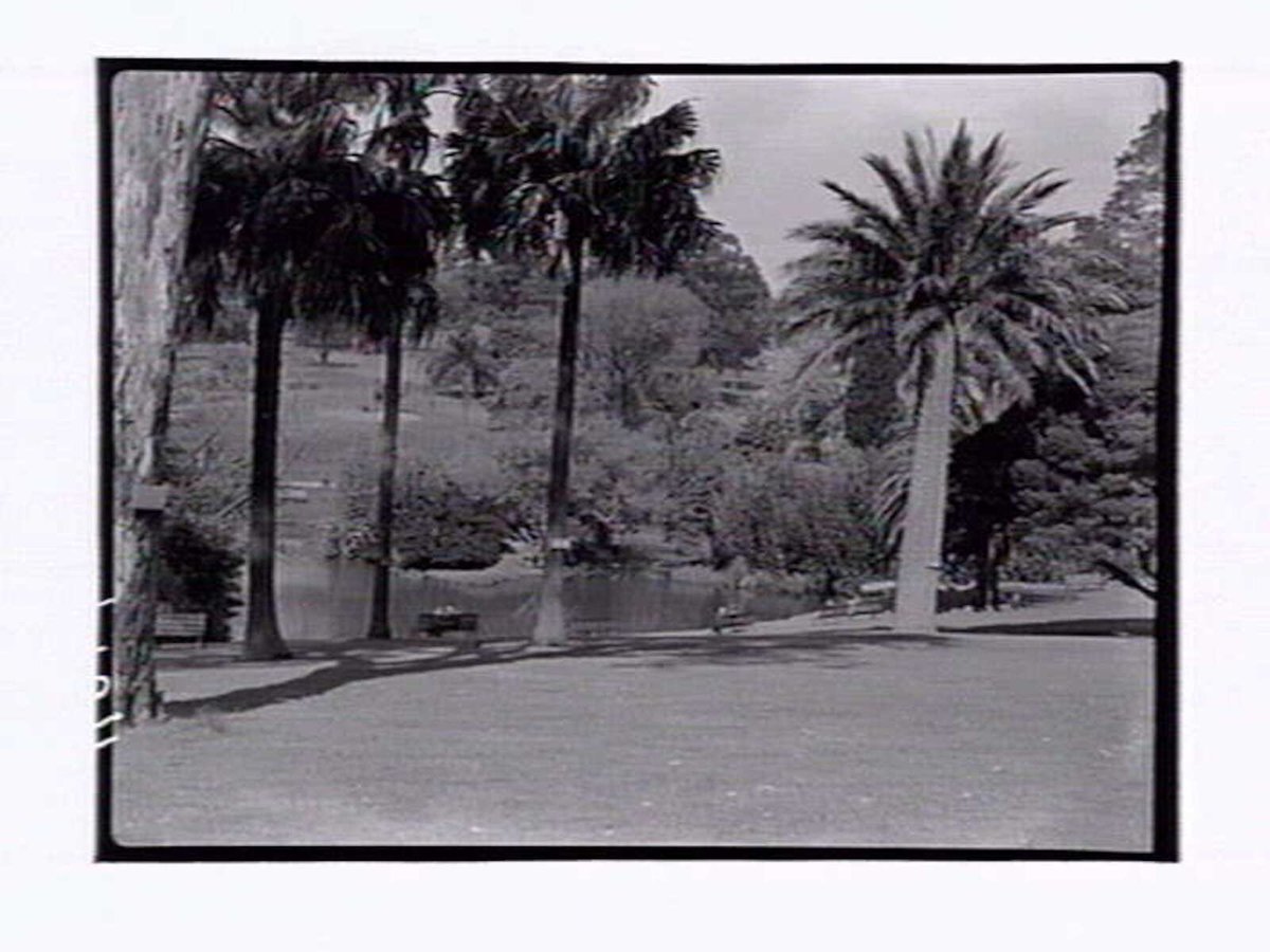 Botanic Gardens Melbourne, Melbourne City (1946)