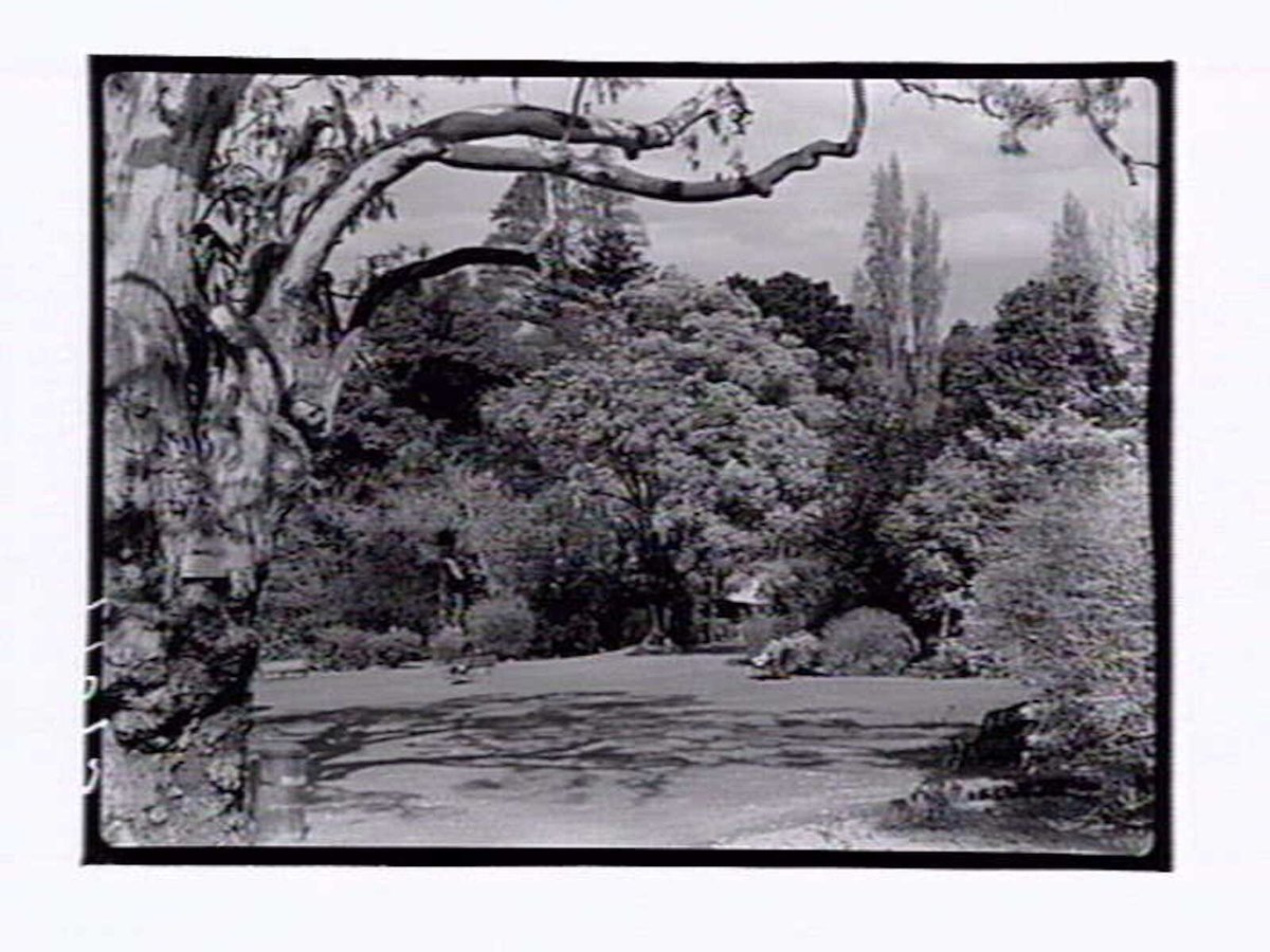 Botanic Gardens Melbourne, Melbourne City (1946)