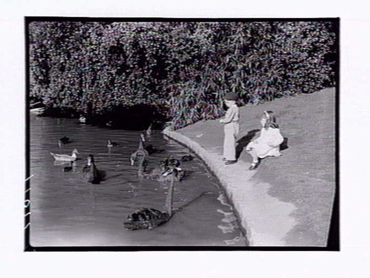 Botanic Gardens Melbourne, Melbourne City (1946)