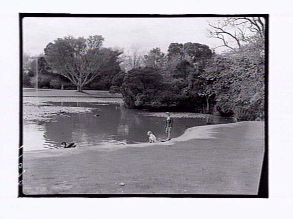 Botanic Gardens Melbourne, Melbourne City (1946)