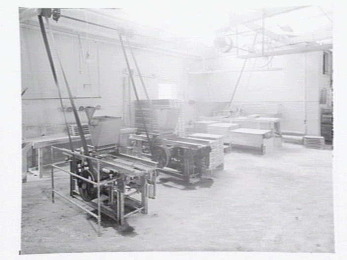 Interior, Rowntree Confectioners, 74 De Carle St., Brunswick (c. 1951)