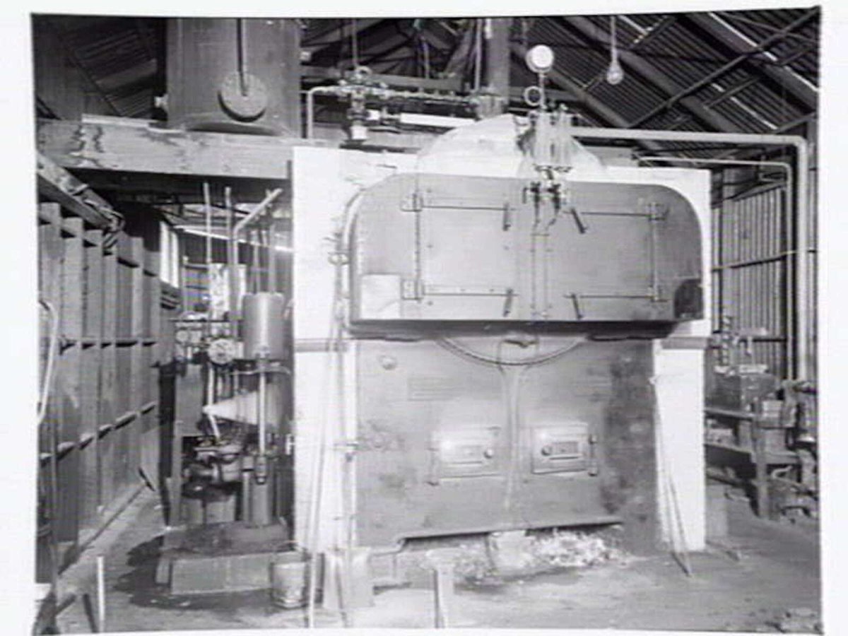 Interior, Rowntree Confectioners, 74 De Carle St., Brunswick (c. 1951)