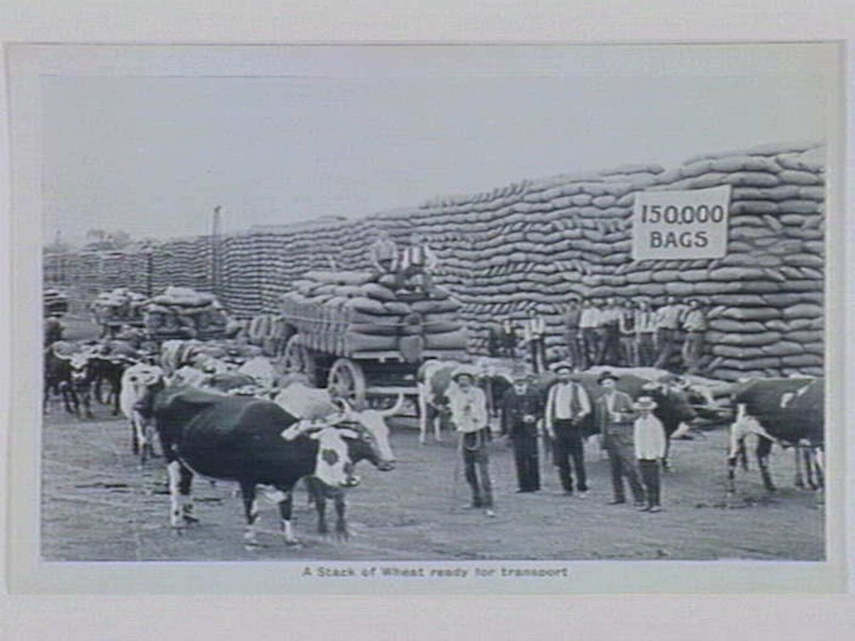 Melbourne Folding Souvenir Card, Port Melbourne (1912)