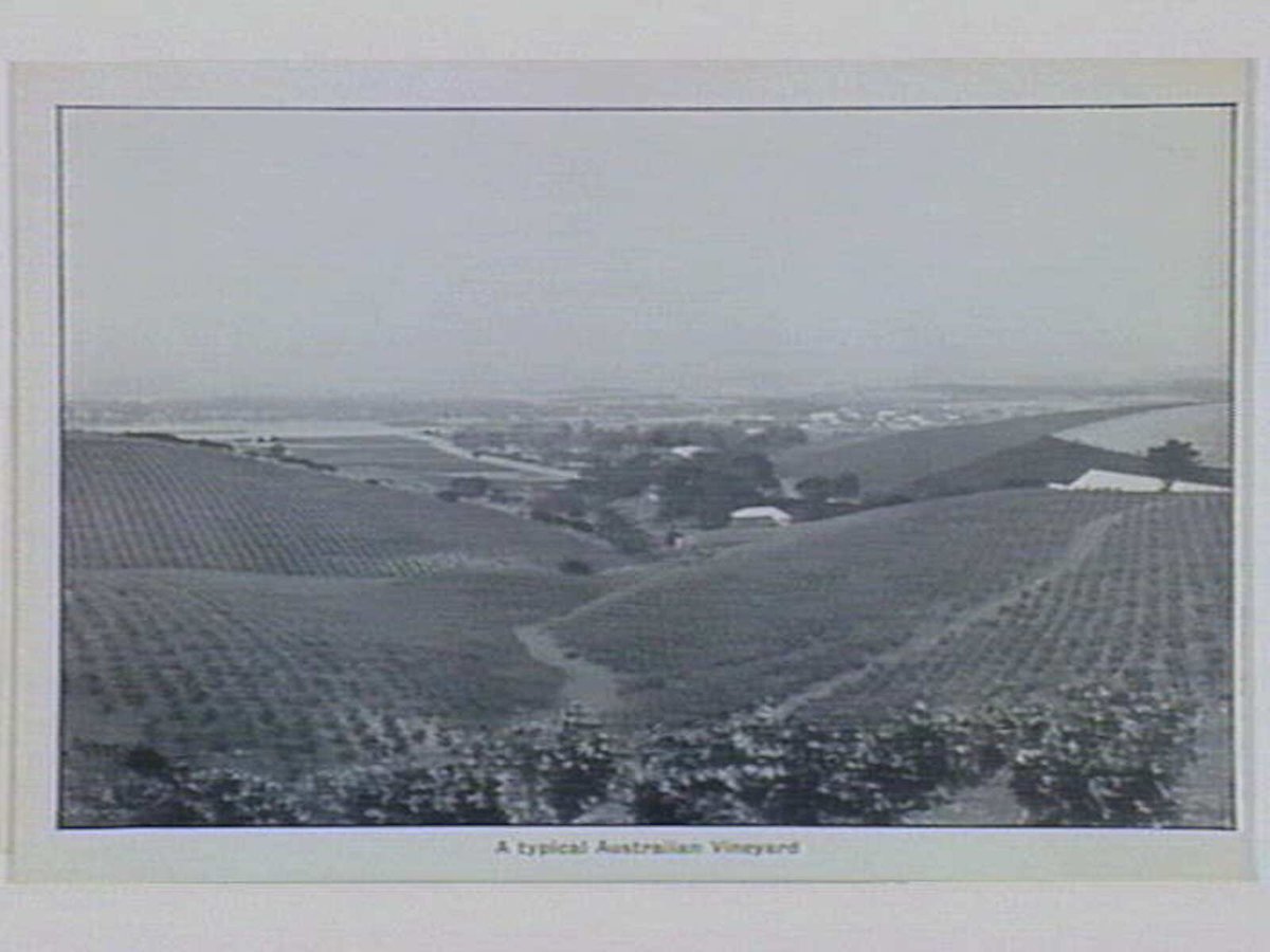 Melbourne Folding Souvenir Card, Port Melbourne (1912)