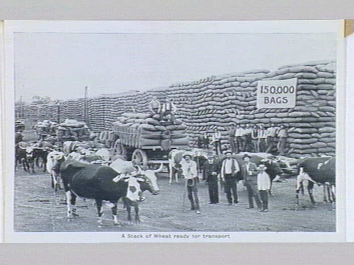 Melbourne Folding Souvenir Card, Port Melbourne (1912)