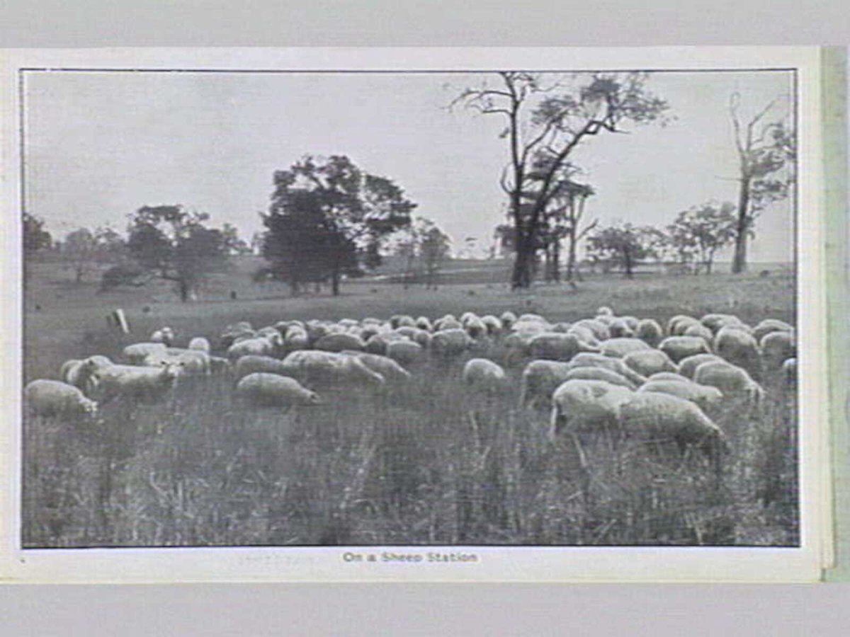 Melbourne 17 City and Country Scenes Folding Souvenir Card, Port Melbourne (1920)