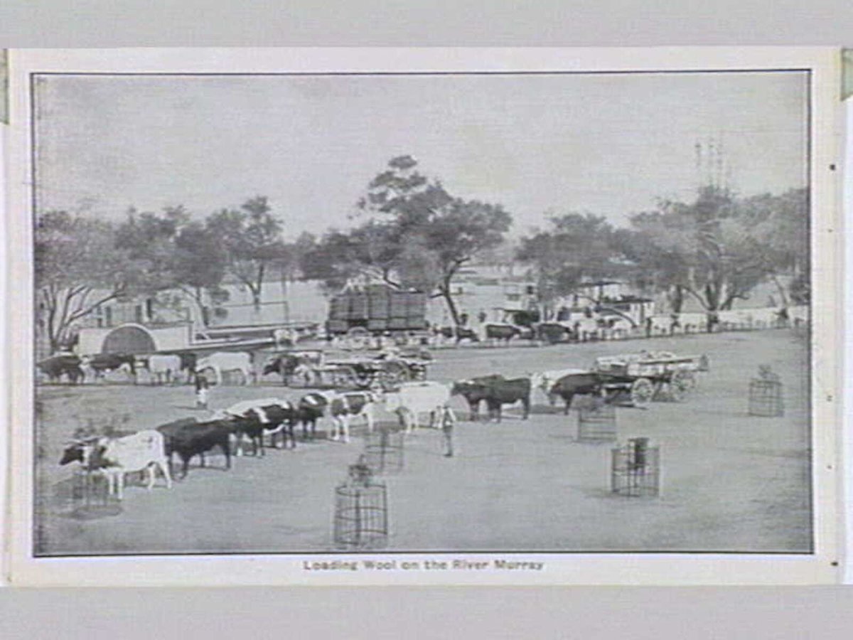 Melbourne 17 City and Country Scenes Folding Souvenir Card, Port Melbourne (1920)