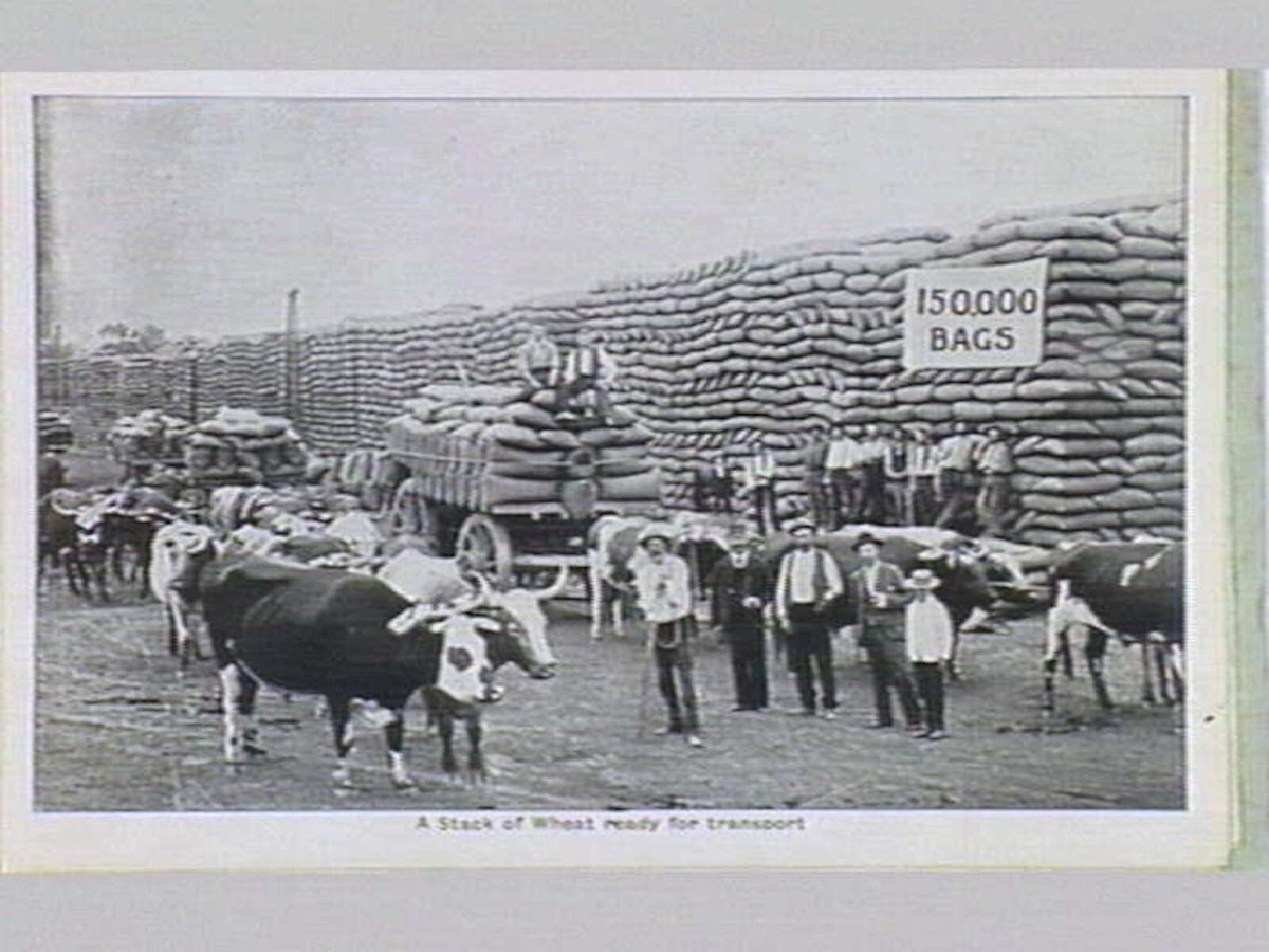 Melbourne 17 City and Country Scenes Folding Souvenir Card, Port Melbourne (c. 1920)