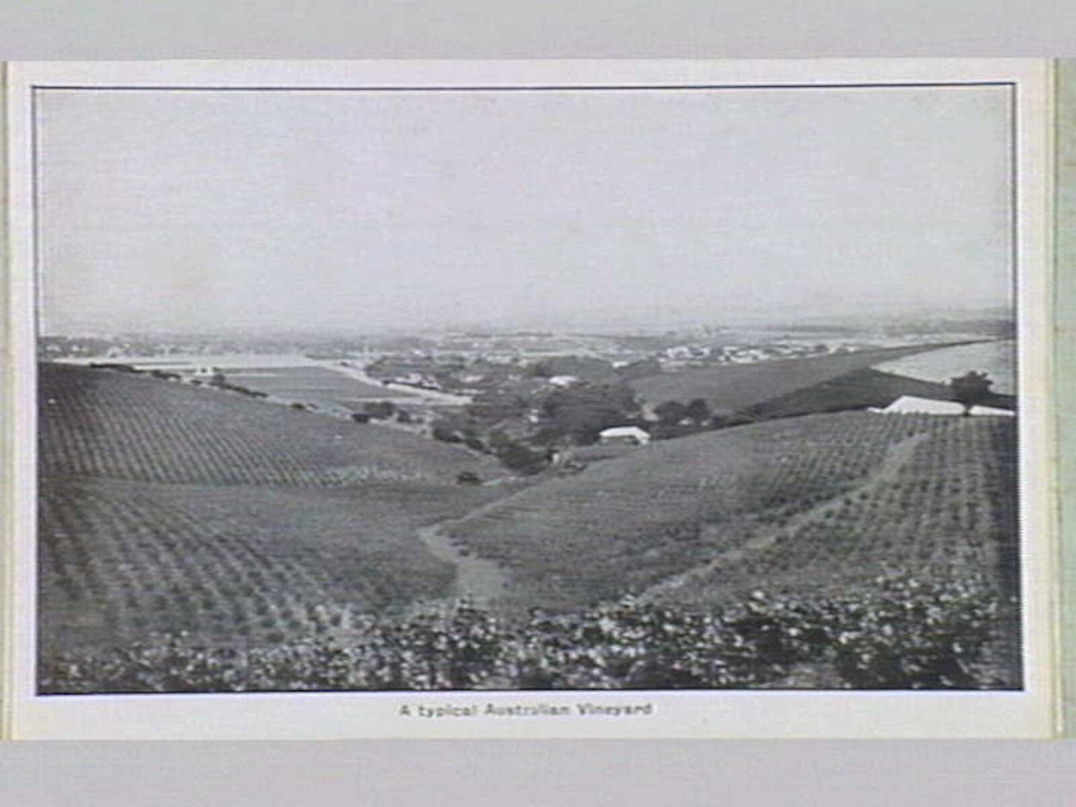 Melbourne 17 City and Country Scenes Folding Souvenir Card, Port Melbourne (c. 1920)