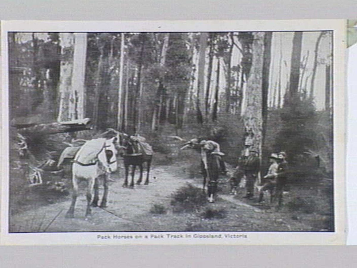 Melbourne 17 City and Country Scenes Folding Souvenir Card, Port Melbourne (c. 1920)