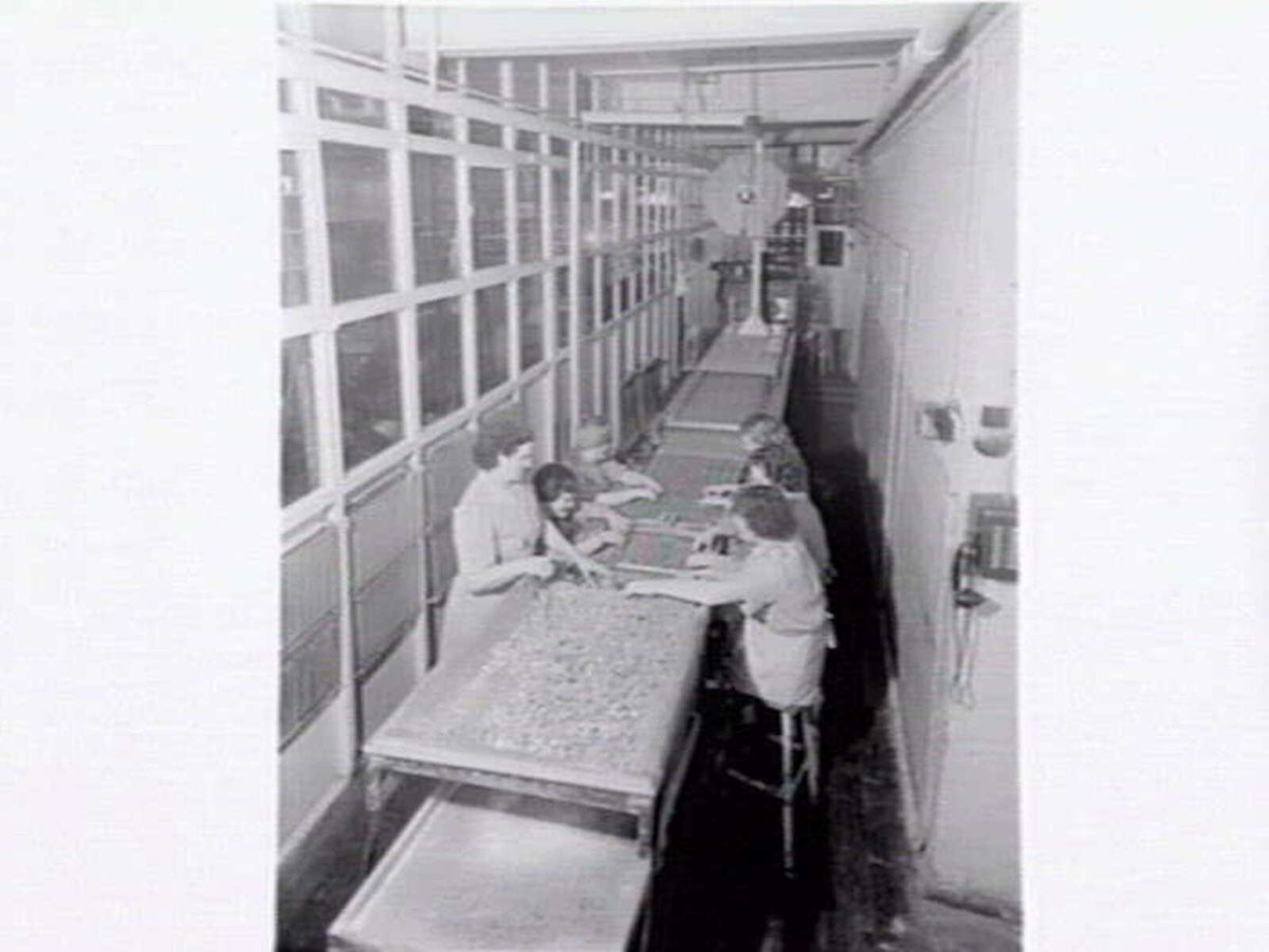 Interiors and exteriors at Rowntree and Co. (Aust.) Pty. Ltd., confectioners, Brunswick (c. 1951)