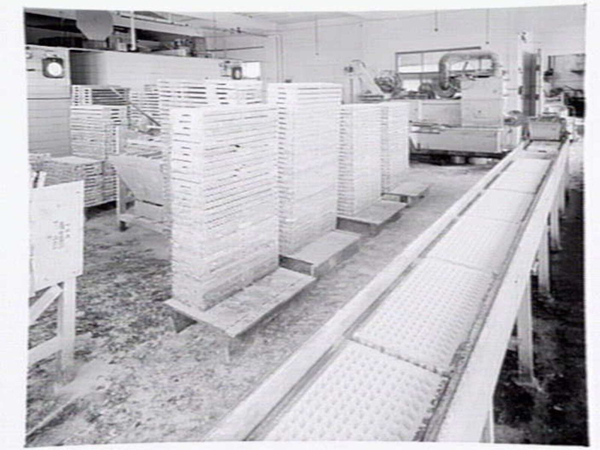 Interiors and exteriors at Rowntree and Co. (Aust.) Pty. Ltd., confectioners, Brunswick (c. 1951)