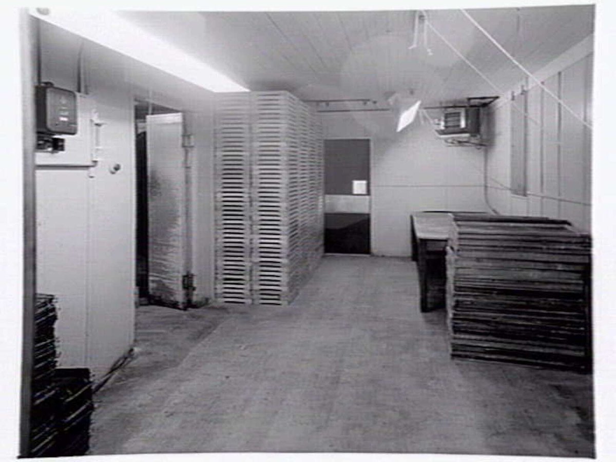 Interiors and exteriors at Rowntree and Co. (Aust.) Pty. Ltd., confectioners, Brunswick (c. 1951)