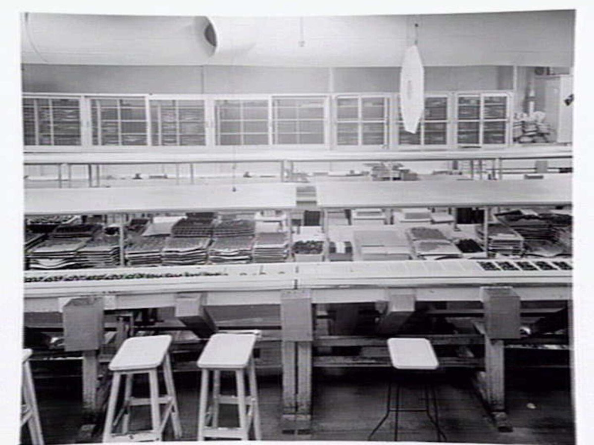 Interiors and exteriors at Rowntree and Co. (Aust.) Pty. Ltd., confectioners, Brunswick (1951?)