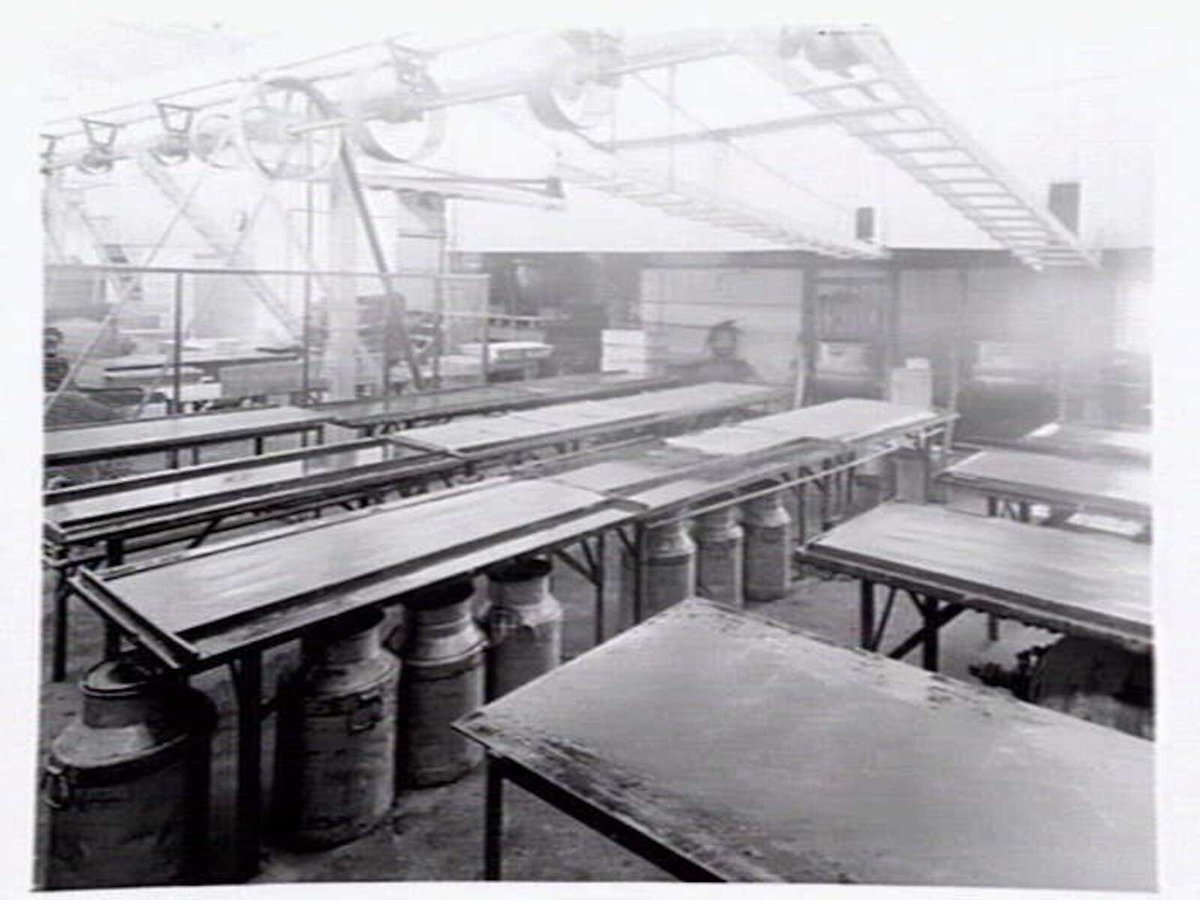 Interiors and exteriors at Rowntree and Co. (Aust.) Pty. Ltd., confectioners, Brunswick (1951?)