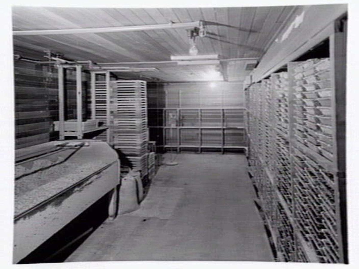 Interiors and exteriors at Rowntree and Co. (Aust.) Pty. Ltd., confectioners, Brunswick (1951?)