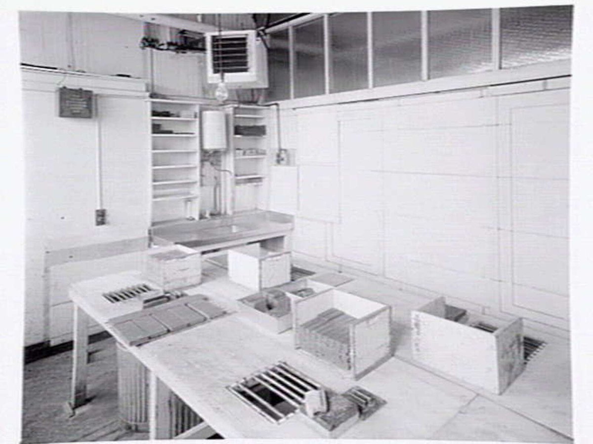 Interiors and exteriors at Rowntree and Co. (Aust.) Pty. Ltd., confectioners, Brunswick (1951?)