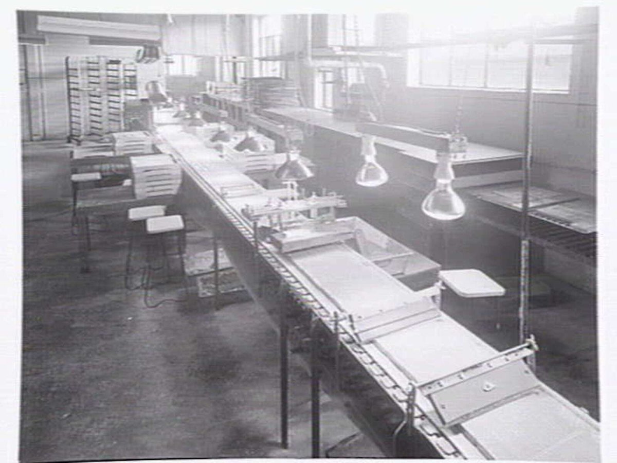Interiors and exteriors at Rowntree and Co. (Aust.) Pty. Ltd., confectioners, Brunswick (c. 1951)