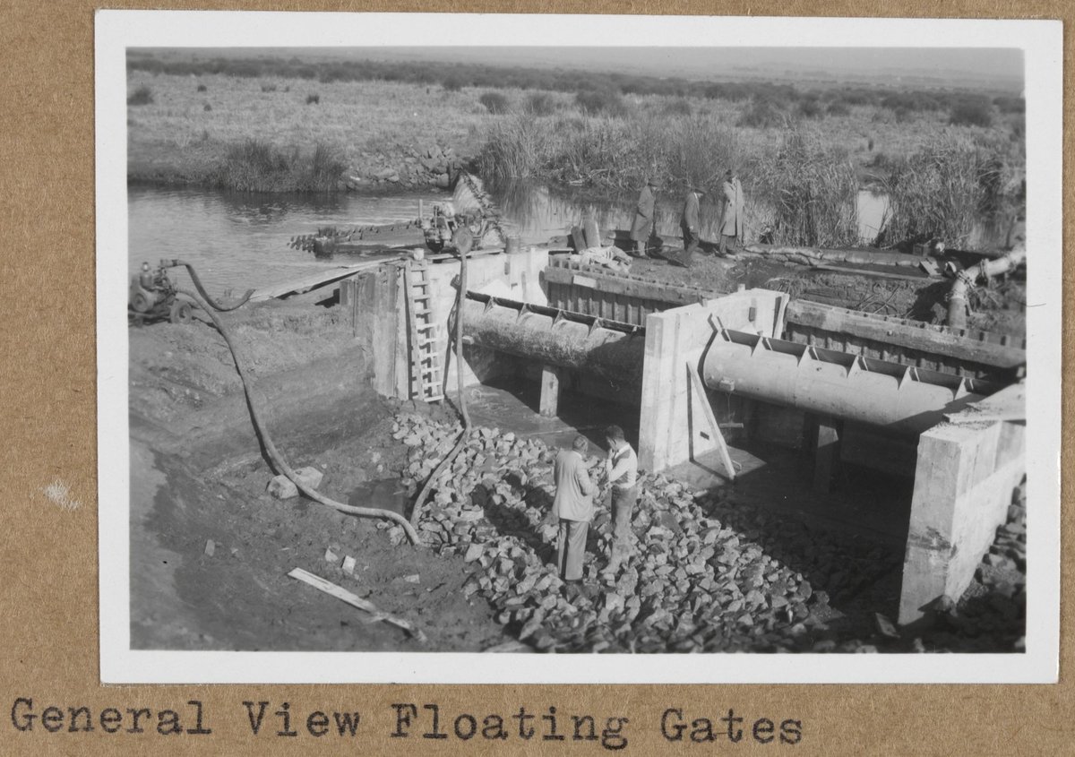 "Floating gates at Barwon River breakwater, Wadsleys drain occupation crossing, Carrum drainage district, Eildon training course" (1959?)