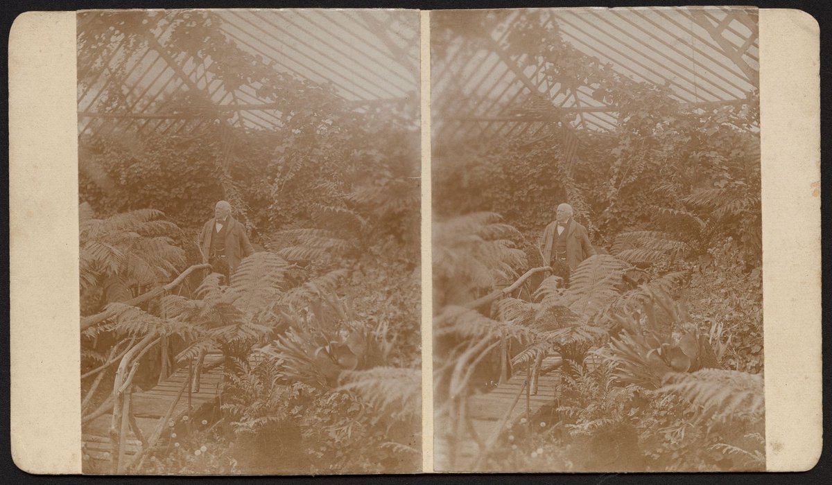 George Coppin in the fernery of his garden at Pine Grove, Richmond, Victoria (1904)