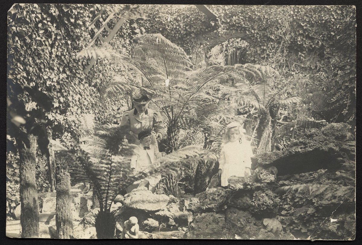 The fernery, Pine Grove, Richmond (1900)
