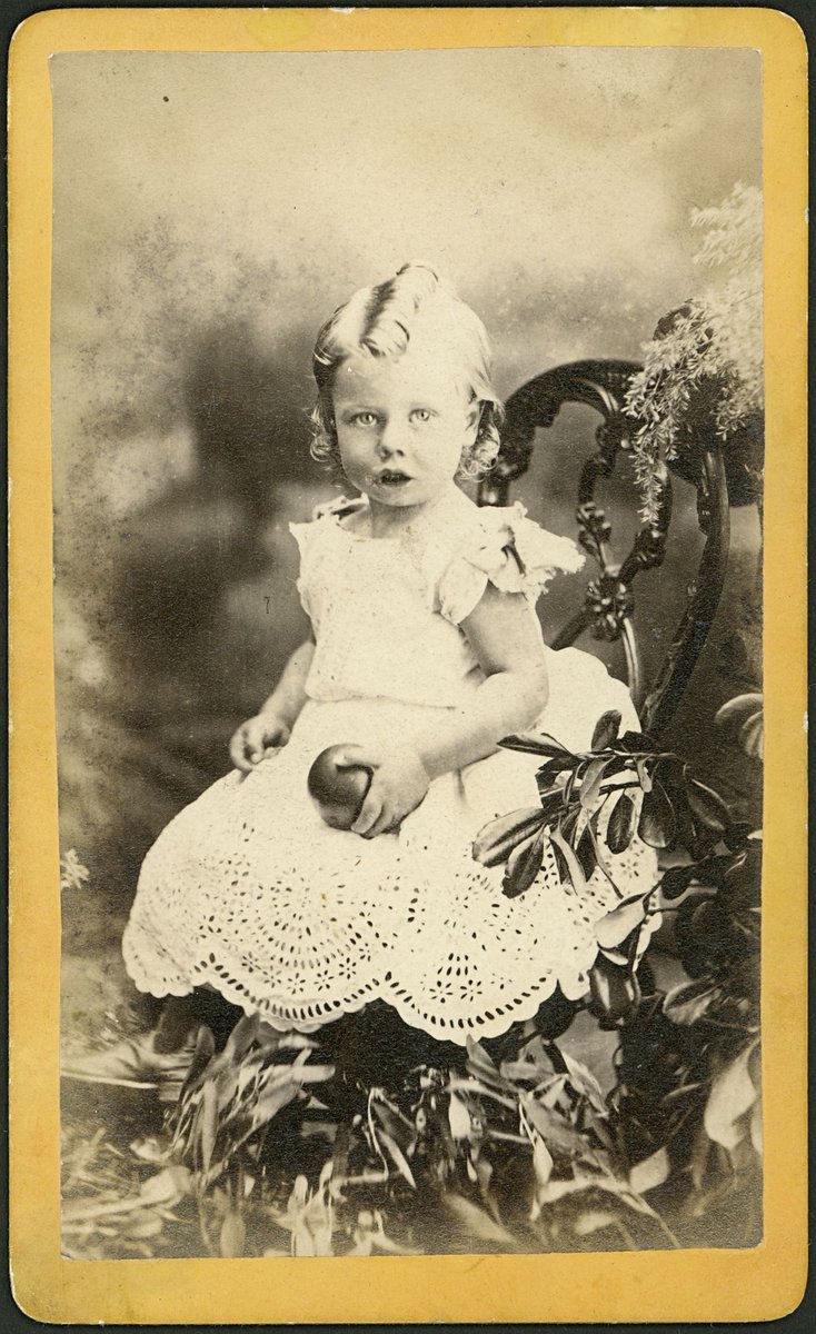 Portrait photographs by E. Pollard & Co., of Lygon Street, Carlton, Vic (1878–80)