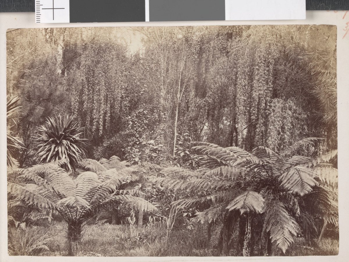 Fitzroy Gardens, East Melbourne (1872)